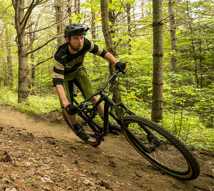 cannondale habit 2021