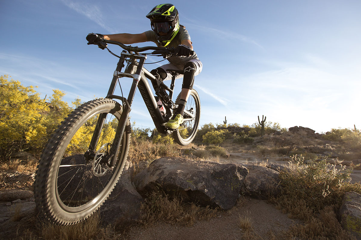 specialized bike dealers online