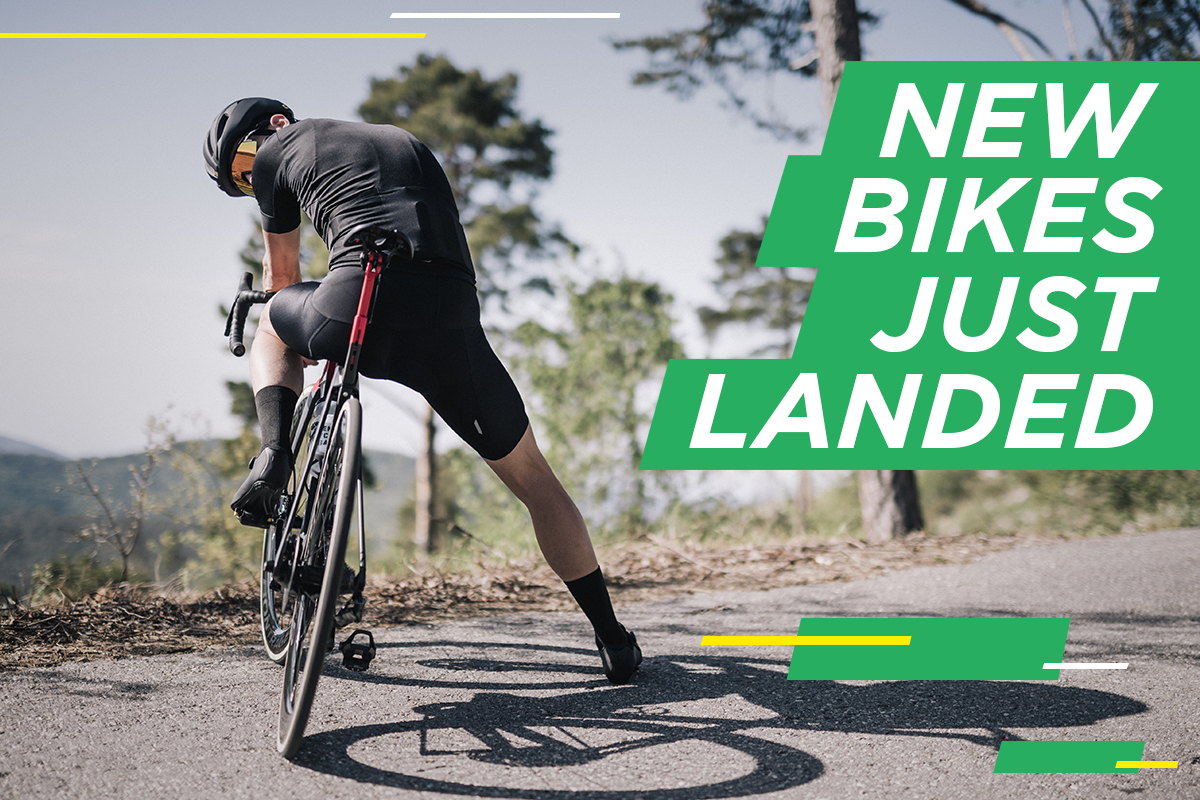 New Bikes Just Landed at Wheelbase