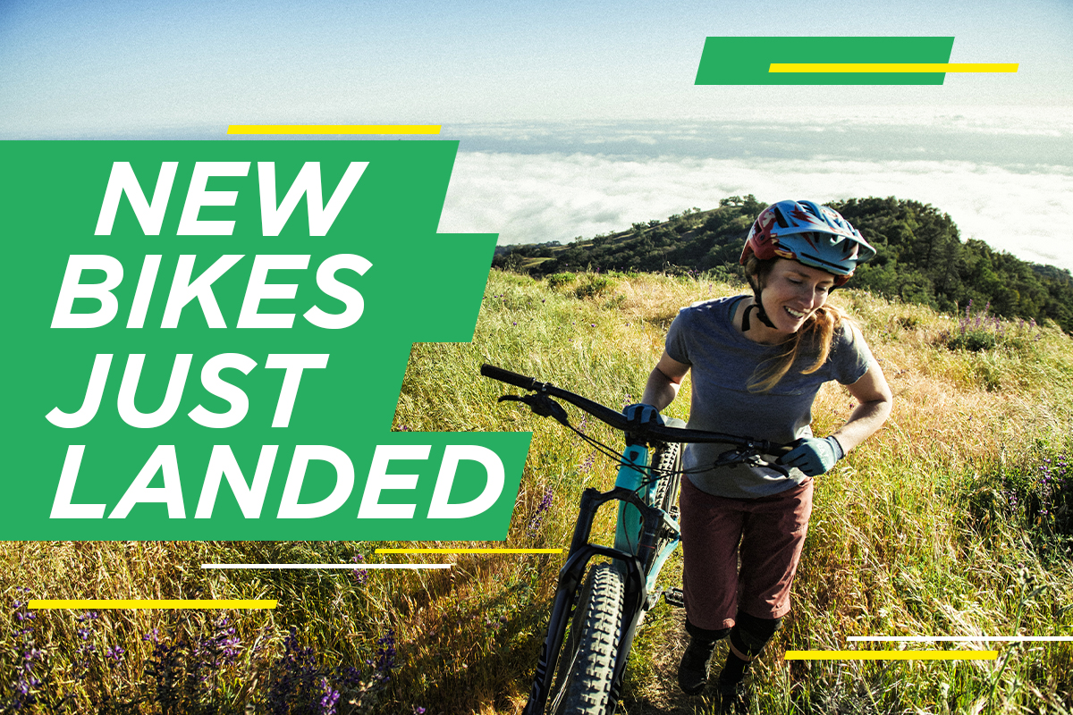 New bikes in stock at Wheelbase