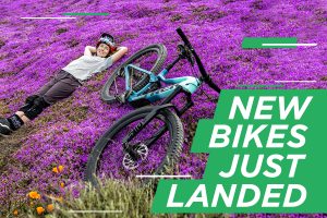 New bikes in stock at Wheelbase