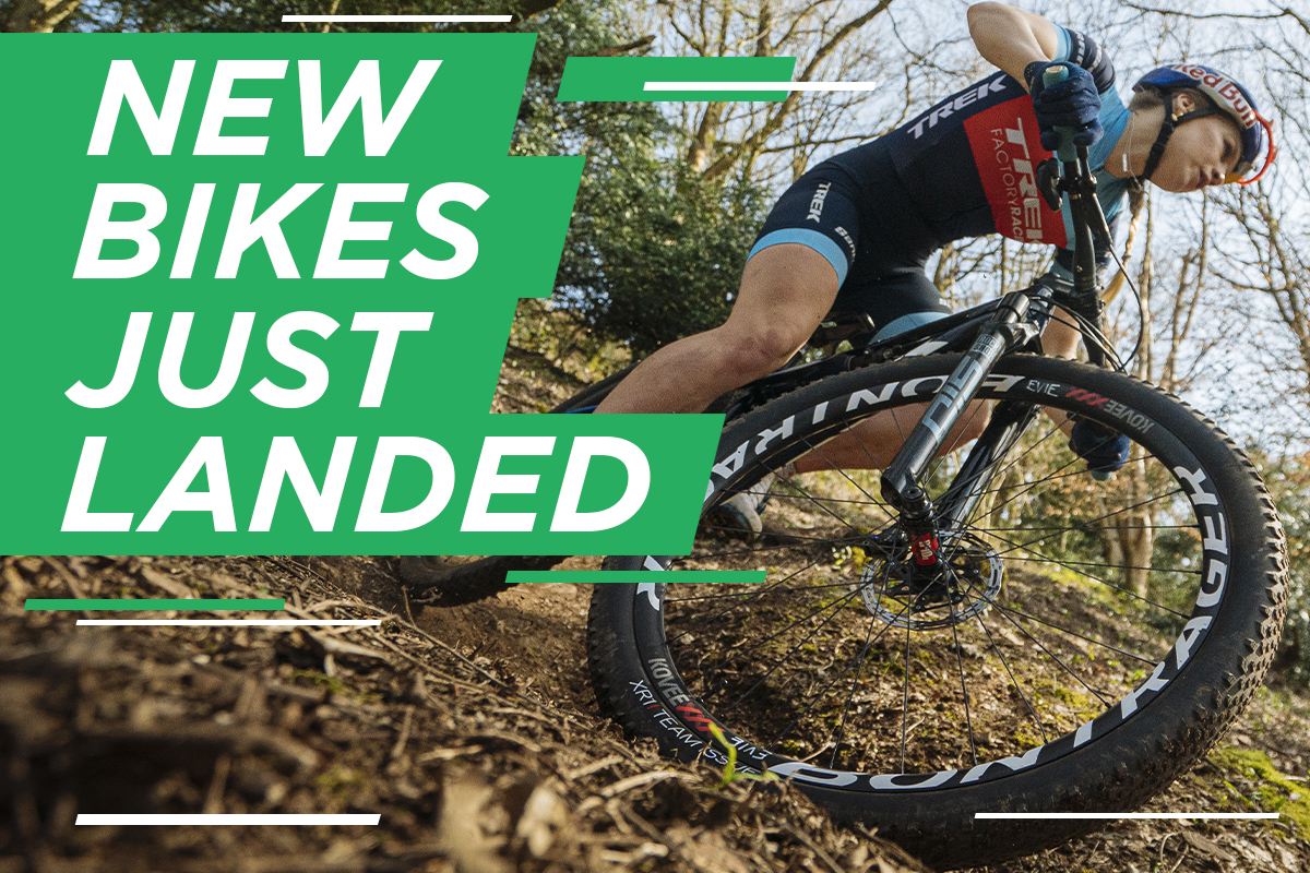 New Bikes Just Landed at Wheelbase