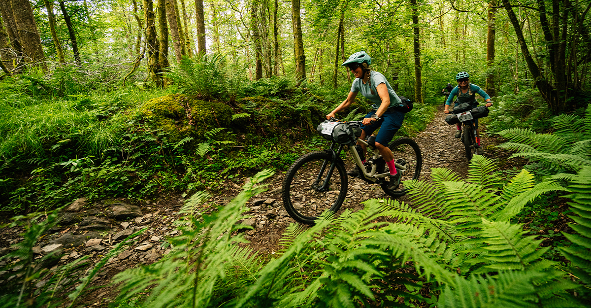 #JENNRIDE Supported by Wheelbase