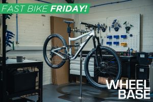 IBIS RIPMO AF 2022