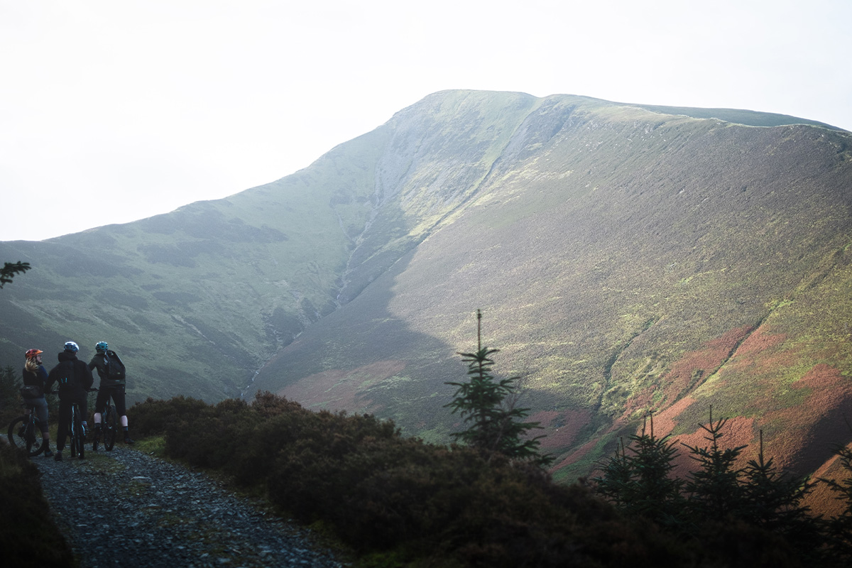 Whinlatter Trail Centre