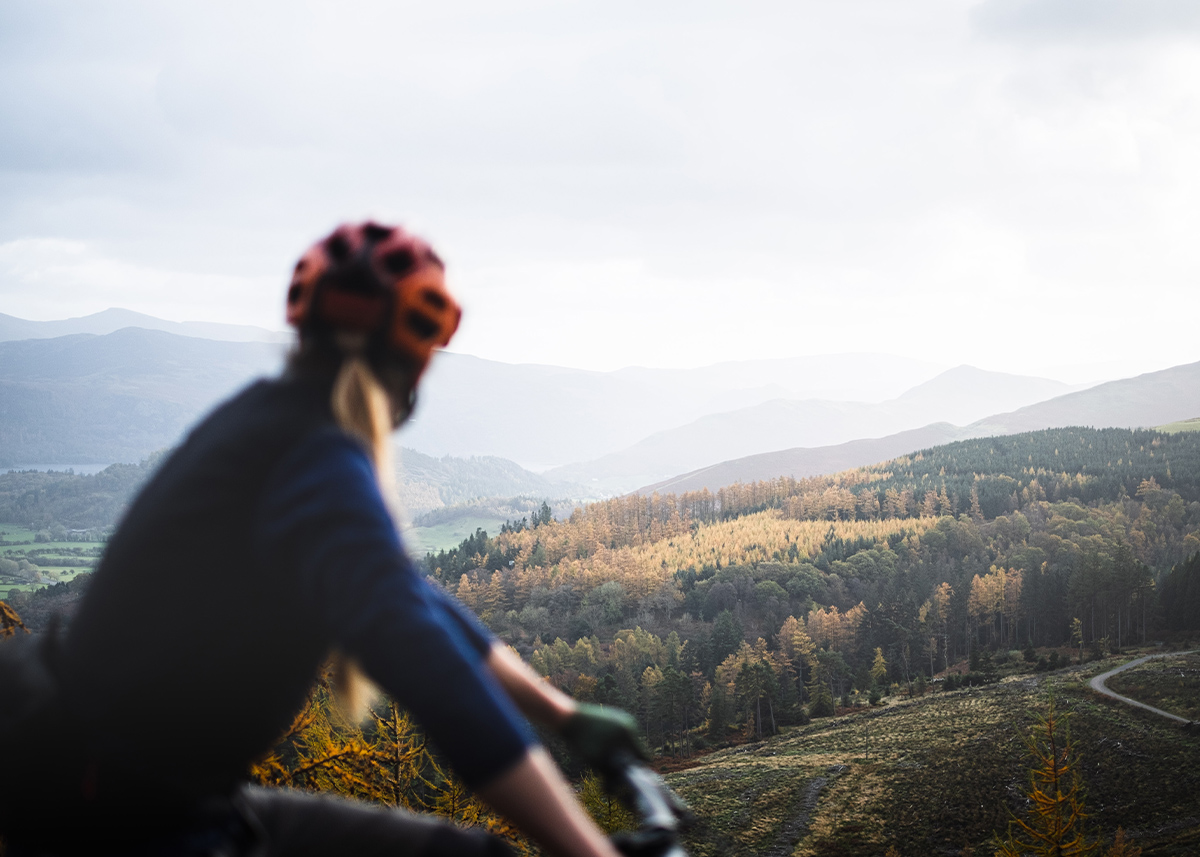 Whinlatter Trail Centre