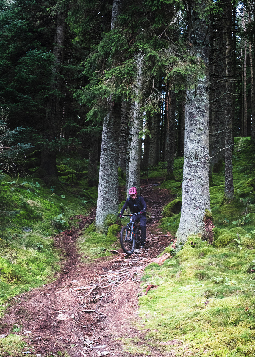 Whinlatter Trail Centre