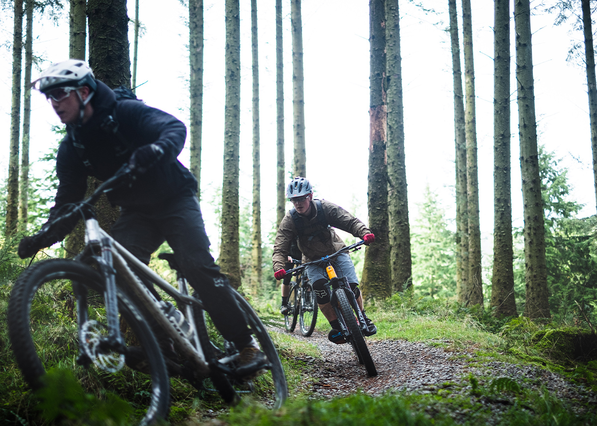 Whinlatter Trail Centre