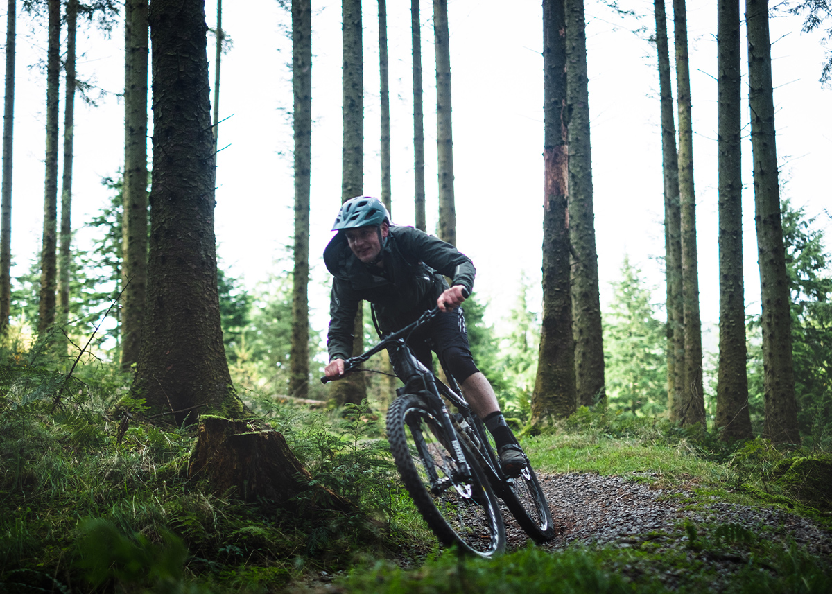 Whinlatter Trail Centre