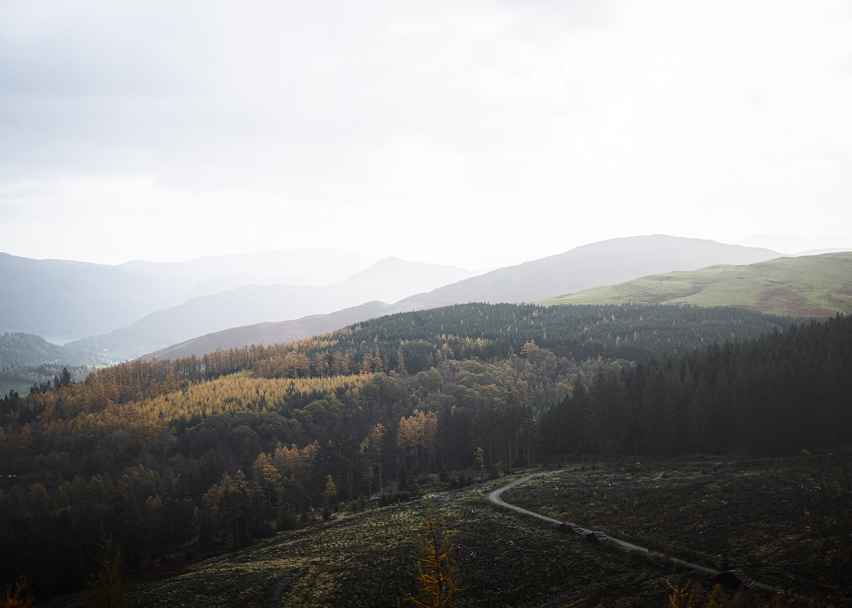 Whinlatter Trail Centre