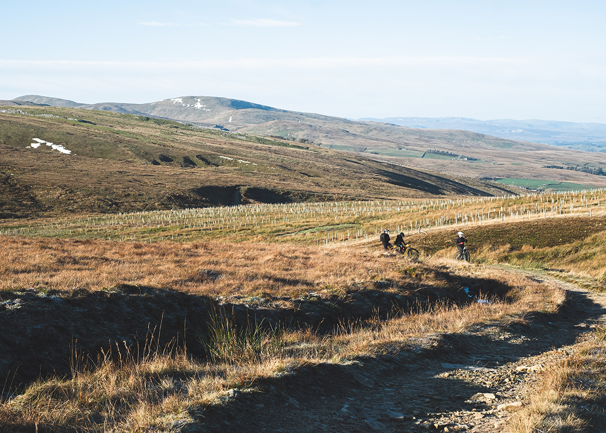 Wild Boar Fell