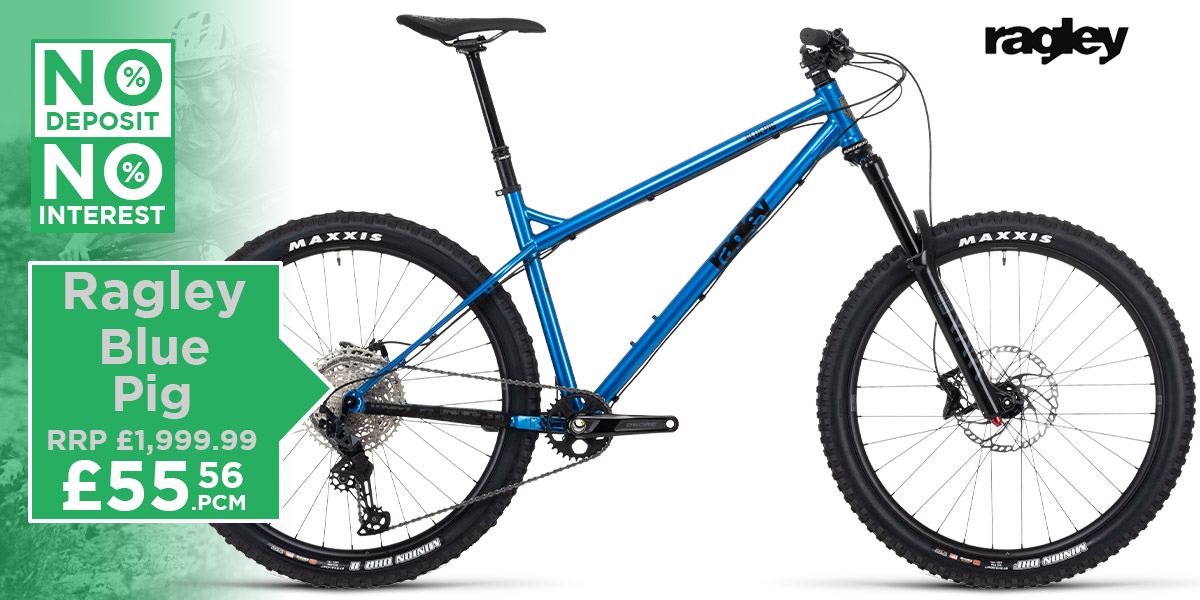 Ragley Blue Pig 2021