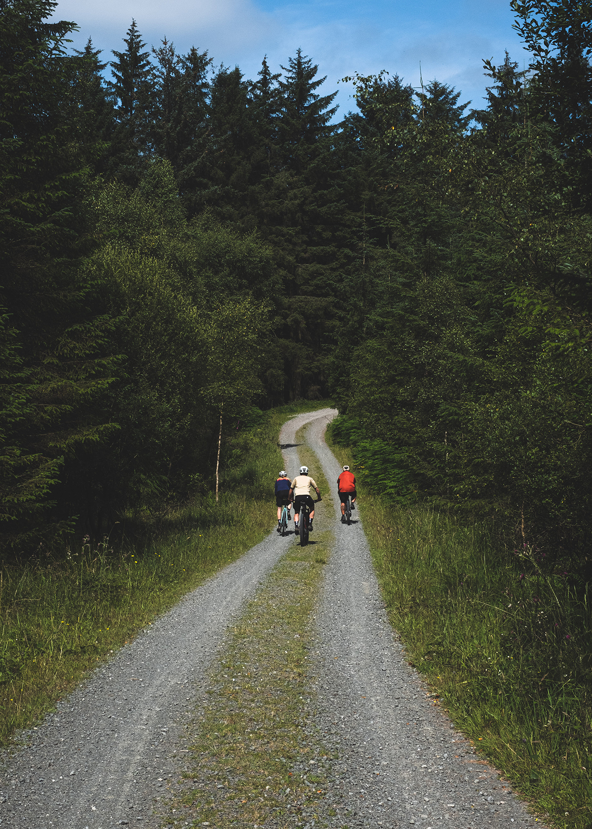 Grizedale Gravel Loop