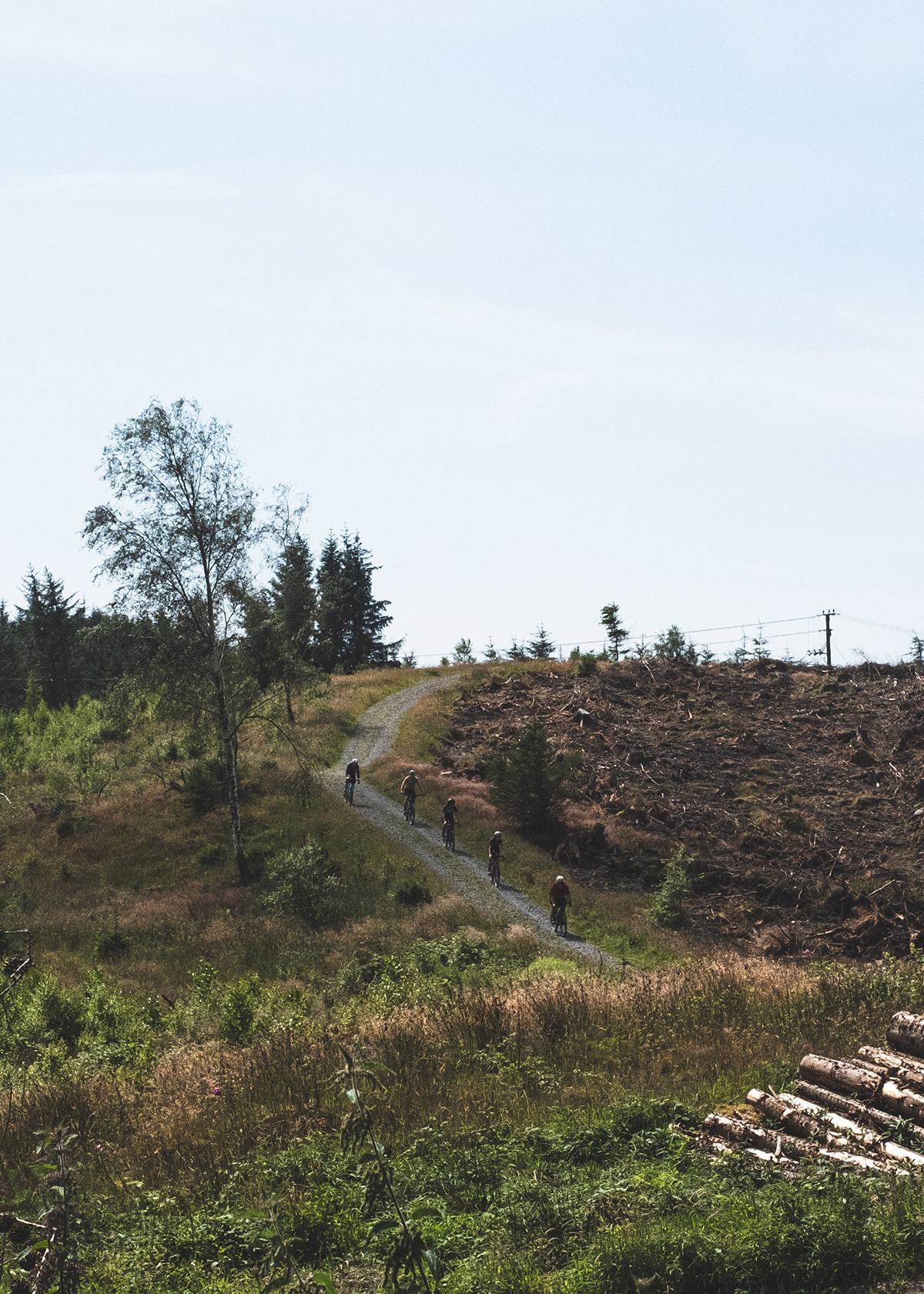 Grizedale Gravel Loop
