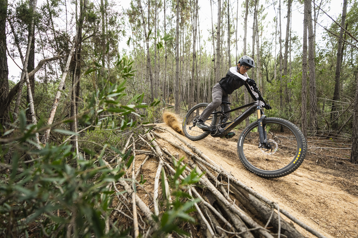 Orbea Wild 2023