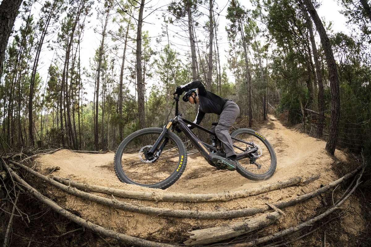 Orbea Wild 2023