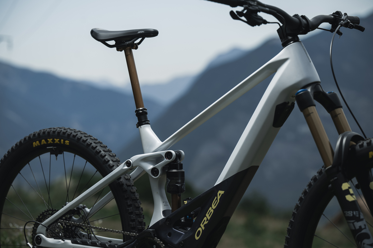 Orbea Wild 2023