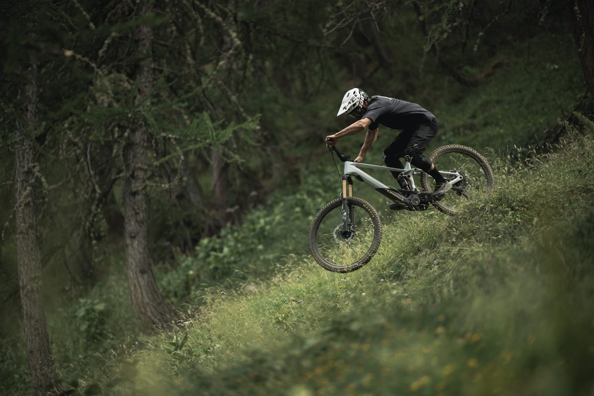 Orbea Wild 2023