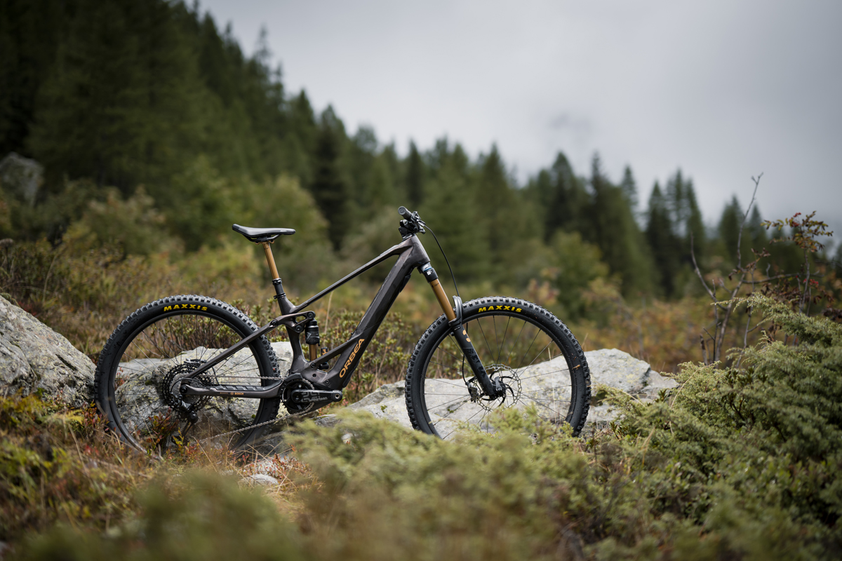 Orbea Wild 2023