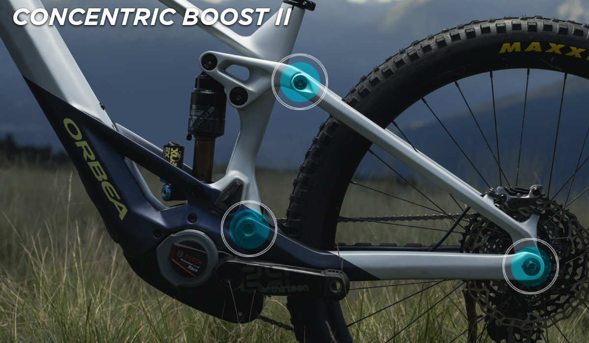 Orbea Wild 2023