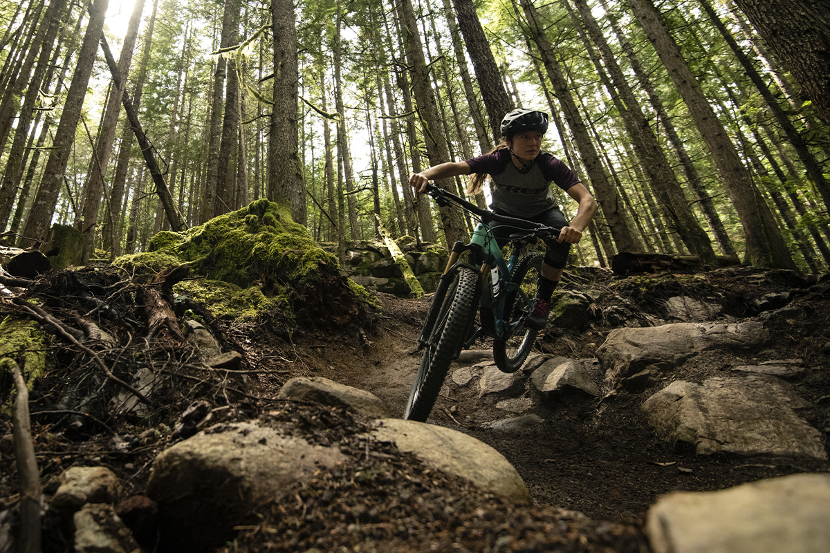 Autumn Sale at Wheelbase