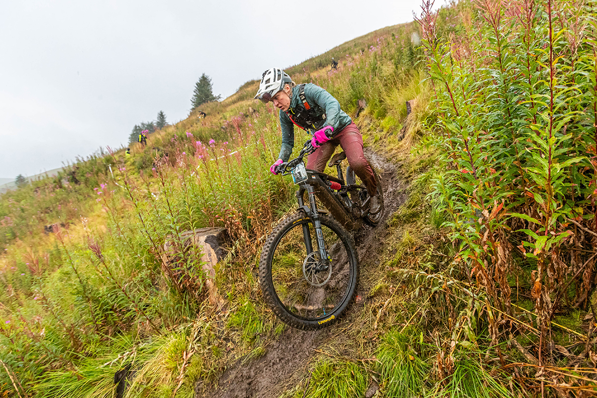 Lucy Bell Wheelbase Darlington
