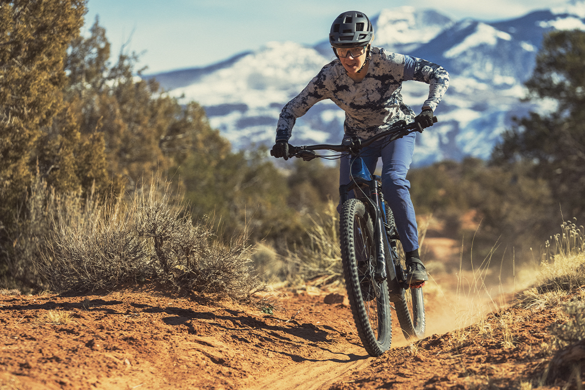 Cannondale Moterra Neo 3