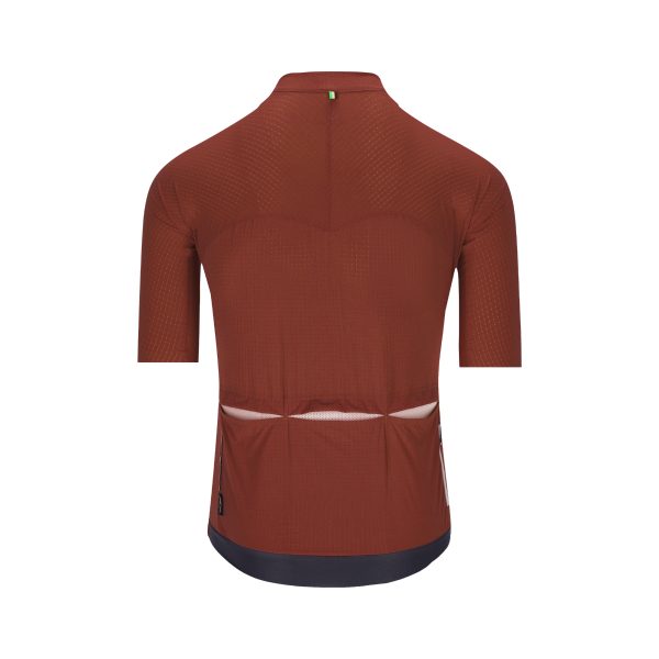 Q36.5 Dottore Pro Jersey | Rust Red