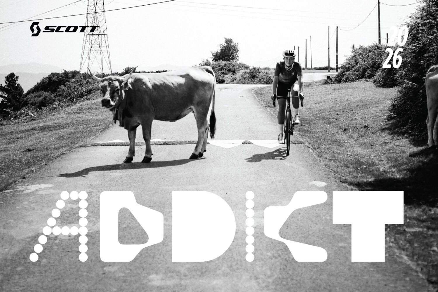 ALL NEW: Scott Addict 2026 | All Day Comfort Endurance Road