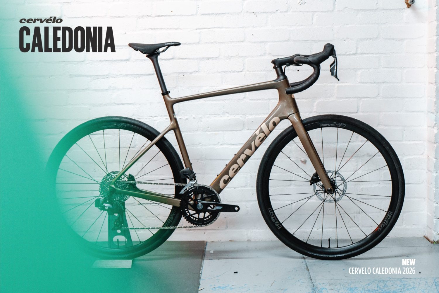 A New Chapter for the Modern Road Rider