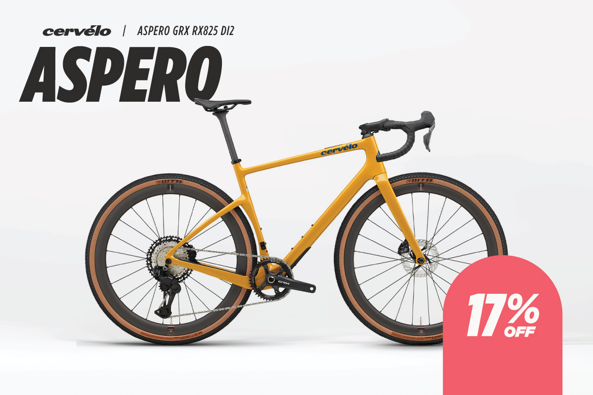 Cervelo R5 Ultegra Di2 2025 | Permafrost