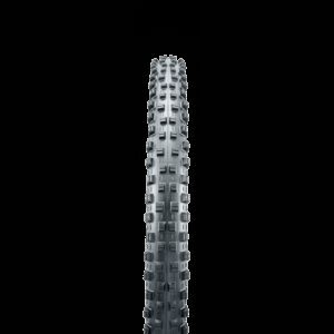 shorty-fld-2