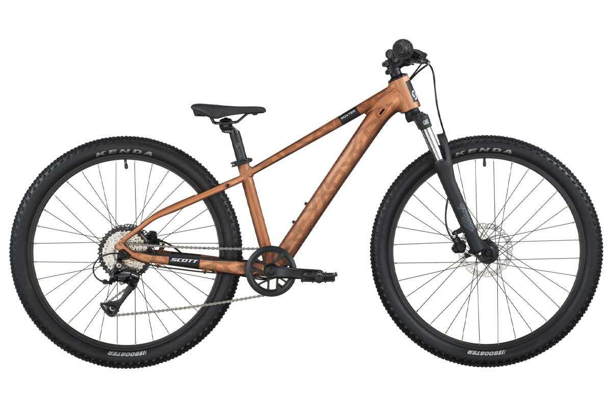 Scott_Roxter_600_Brown_1