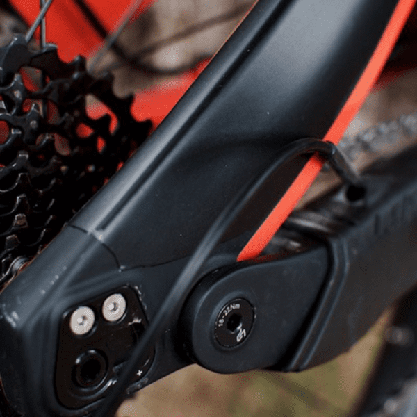 BIKE SHIELD - Full Pack Oversize Matte