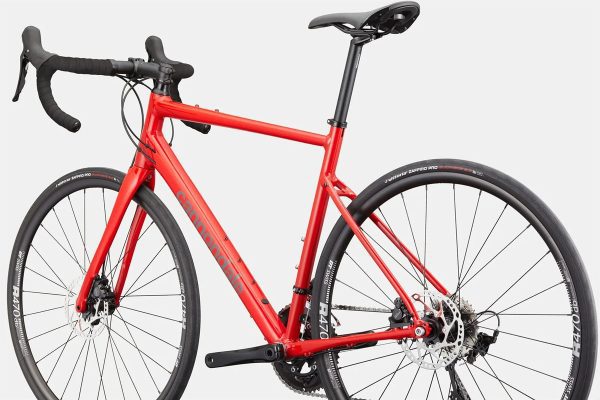2024 Cannondale Synapse 1 : RRD : 48