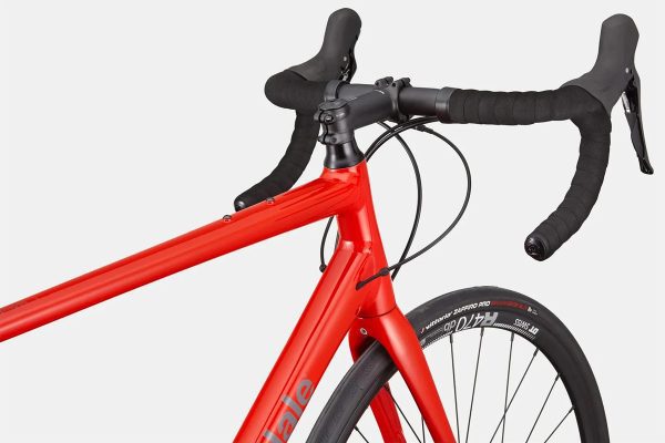 2024 Cannondale Synapse 1 : RRD : 48