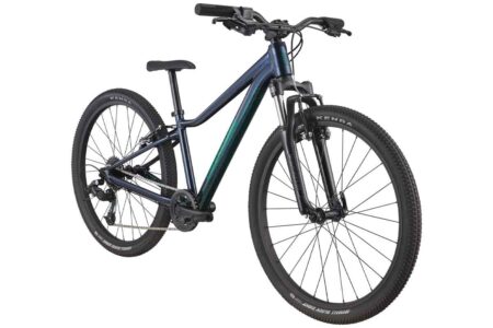 Cannondale-Kids-Trail-24-Blue-2