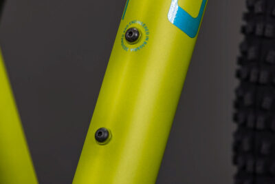 Cube_Acid_240_Acid_Lizard_4