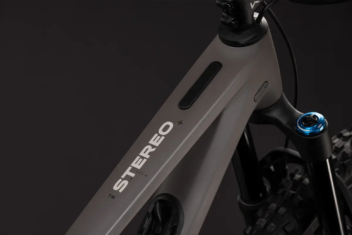 Stereo_HPC_TM_Cedar_2