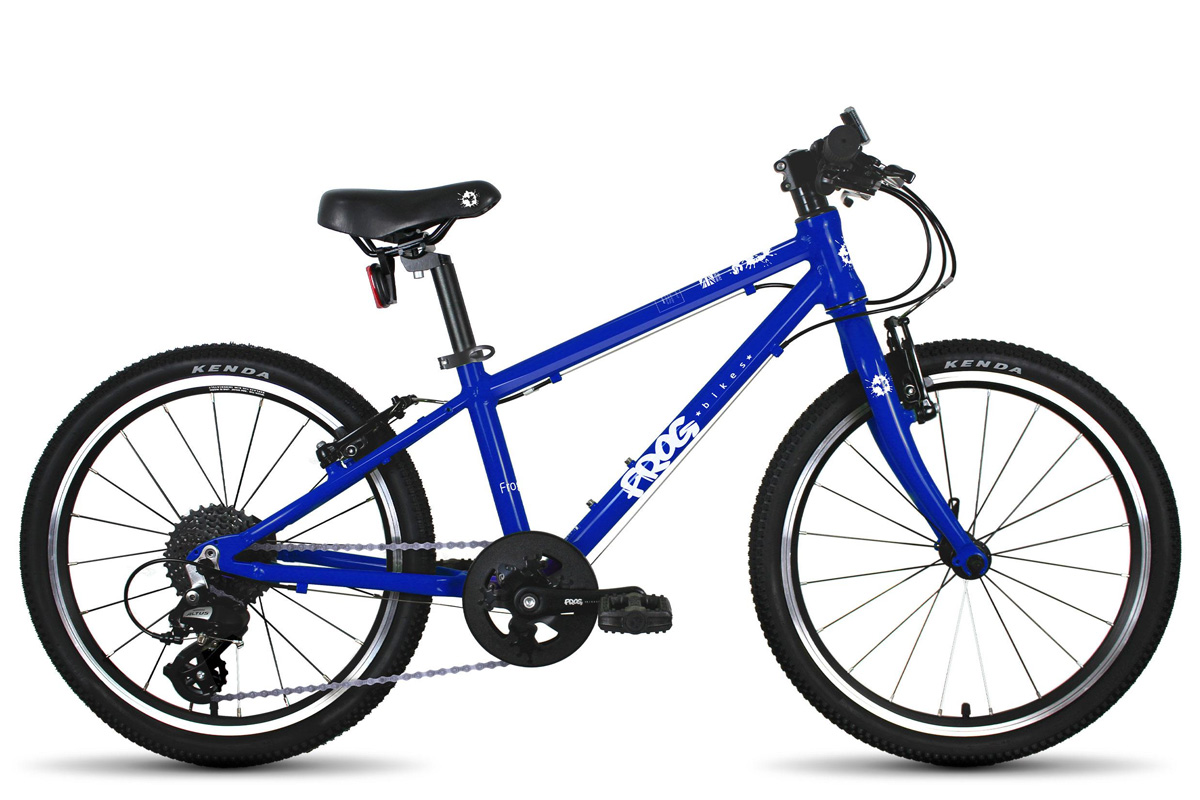 Frog_53_20inch_Blue_1